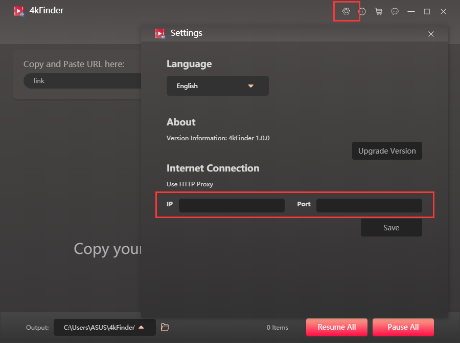 enter ip address to the program